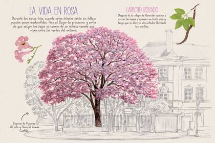 "Veo Veo en Buenos Aires" ofrece una guía para recorrer la ciudad con los sentidos bien atentos