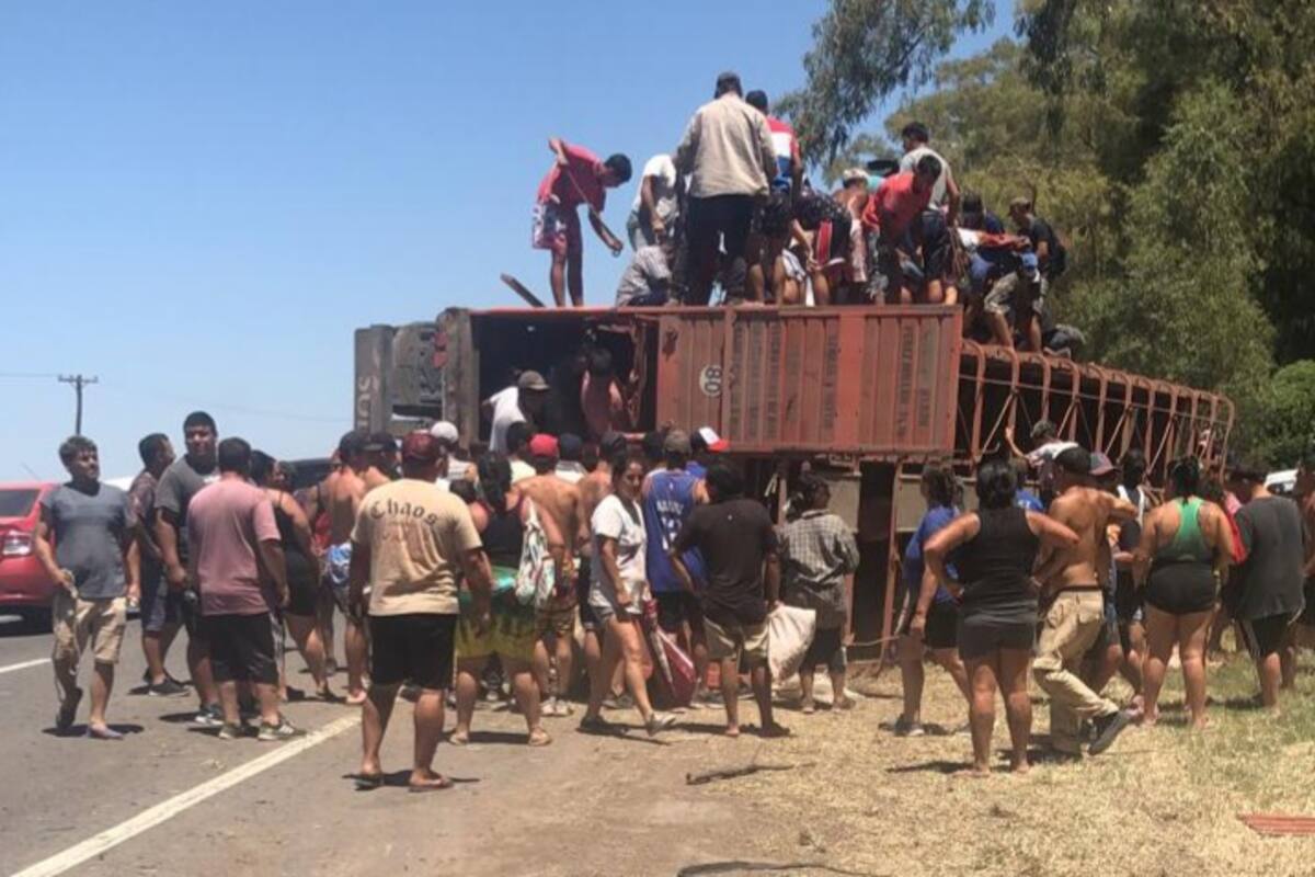 “Ver como se trepaban en el camión, como perseguían a la hacienda, como descuartizaban a los animales mientras estaban vivos, es de un grado de sadismo que nunca vi”, expresó Raúl Víctores, productor agropecuario.