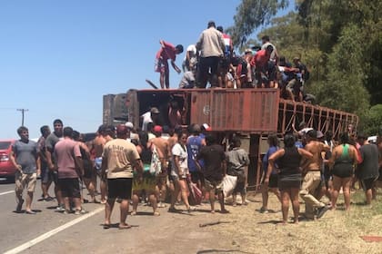 “Ver como se trepaban en el camión, como perseguían a la hacienda, como descuartizaban a los animales mientras estaban vivos, es de un grado de sadismo que nunca vi”, expresó Raúl Víctores, productor agropecuario.