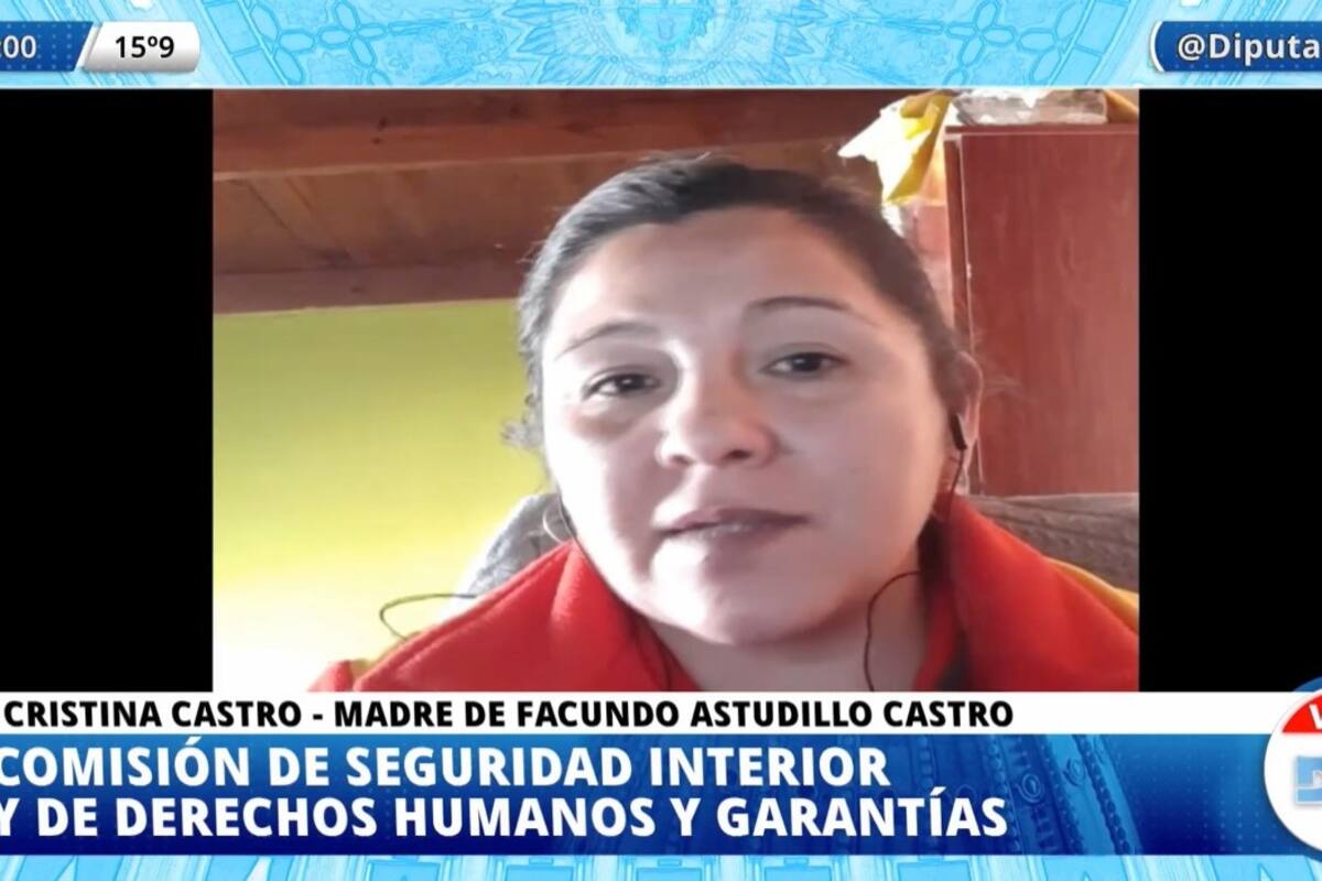 "Ver estos arranques de violencia duele. Duele saber que estas son las personas que nos representan", le dijo Cristina Castro a los diputados