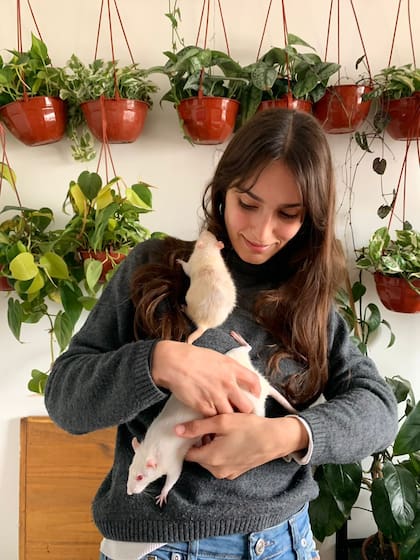 Verdier con Monoko y Colagusano, dos de las 31 ratas que tiene actualmente en tránsito
