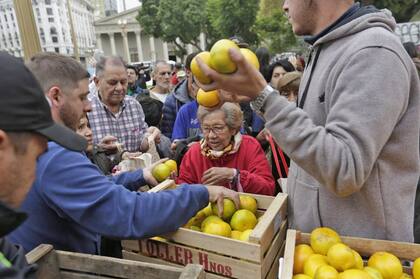 Cajones repletos de naranjas, mandarinas, peras y manzanas
