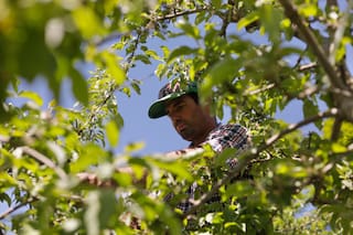 Vermont es el primer estado en prohibir el paraquat, un herbicida vinculado al párkinson