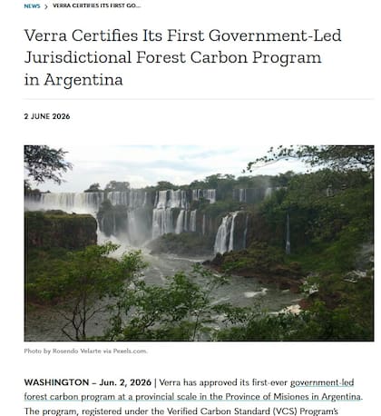 Verra, basada en Washington, destacó en un comunicado este martes que el caso Misiones fue el primero a nivel global de un estado, nacional, provincial o municipal.