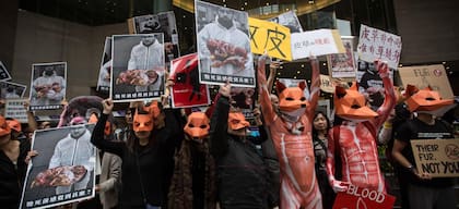 Versace y Coach fueron dos de las primeras marcas de lujo que decidieron no usar más pieles de animales