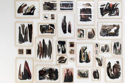 Versiones del "coso" según Zoe Di Rienzo