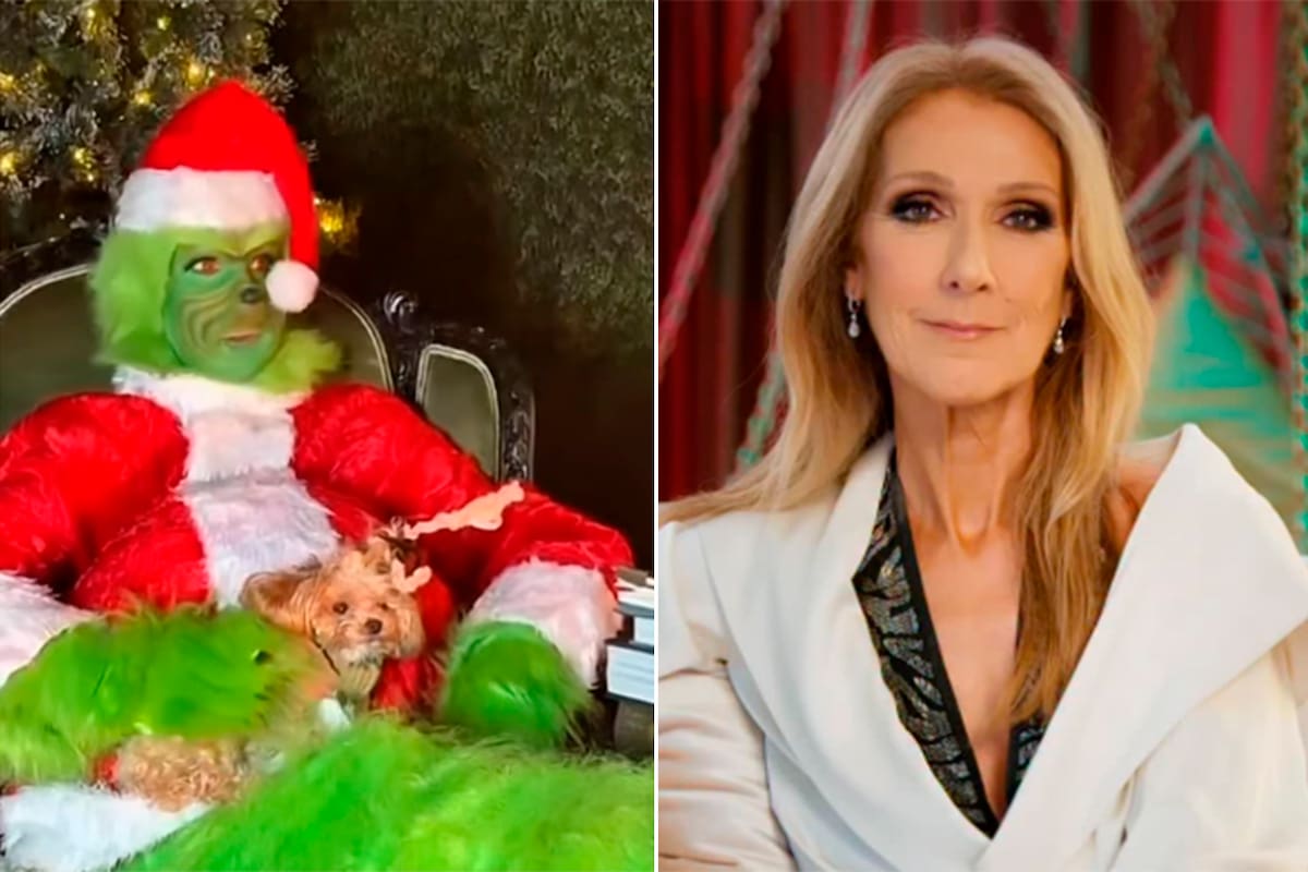 Vestida de Grinch y cantando uno de sus grandes éxitos: el hilarante mensaje de Navidad de Céline Dion