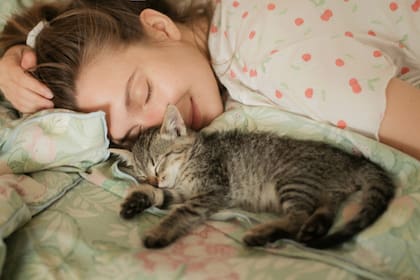 Veterinarios aconsejan que el animal tenga su propia cama para dormir