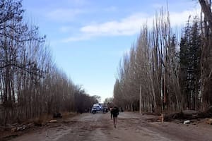 Viajaba a festejar en familia su cumpleaños de 15: un árbol cayó sobre la camioneta y mató a sus padres
