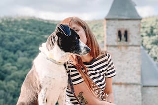 Todo lo que necesitás saber para que viajar con tu perro o gato sea un éxito