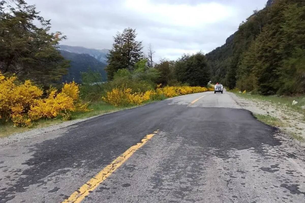 Vialidad Nacional debe realizar obras urgentes en la Ruta Nacional 40