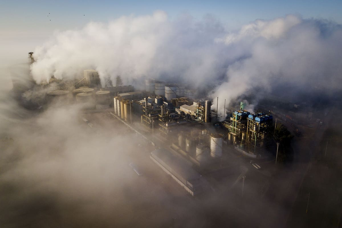 Vicentín, empresa alimenticia expropiada por el Estado Nacional