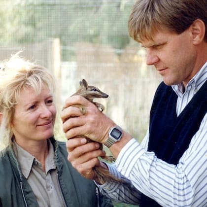 Vicki Power y Tony Friend han pasado décadas intentando salvar al numbat