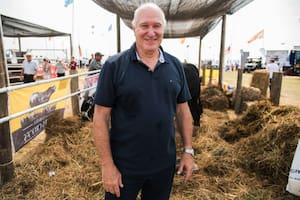 Un reconocido experto estima que los altos precios ganaderos durarán varios años