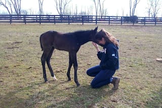 Amor a los caballos: la argentina que estudia en la cumbre del turf mundial