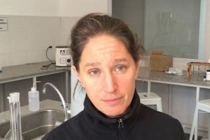 Victoria Flexer dice que faltan investigaciones independientes