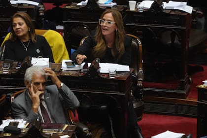Victoria Tolosa Paz votó en línea con la UCR y HCF por el impuesto al tabaco