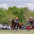 Una jugada insólita en el polo: la yegua "traicionera" que propició bromas en el Abierto de Tortugas