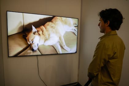 Video de Luiz Roque comprado por el Malba en Isla Flotante