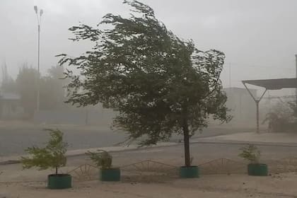 Vientos fuertes
Foto: Canalc