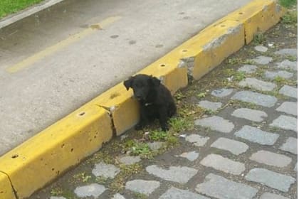 Vieron un bulto negro en una zona cercana y peligrosa al Riachuelo.