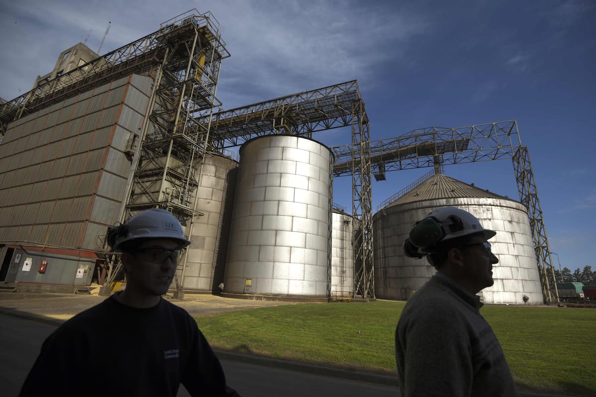 View of storage tanks at the industrial complex of the Louis Dreyfus Company in General Lagos, Santa Fe province, Argentina on September 13, 2017.
After a stoppage of one month, Argentina's biodiesel exports restart with the European market, Spain in particular, as buyer. Argentina can produce 4.5 million tons of vegetal oil --the base for biodiesel, used mainly in cars-- per year, from which one million for the local market. / AFP PHOTO / EITAN ABRAMOVIC