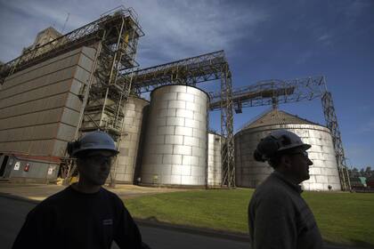View of storage tanks at the industrial complex of the Louis Dreyfus Company in General Lagos, Santa Fe province, Argentina on September 13, 2017.
After a stoppage of one month, Argentina's biodiesel exports restart with the European market, Spain in particular, as buyer. Argentina can produce 4.5 million tons of vegetal oil --the base for biodiesel, used mainly in cars-- per year, from which one million for the local market. / AFP PHOTO / EITAN ABRAMOVIC