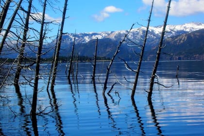 Villa Traful se encuentra dentro del Parque Nacional Nahuel Huapi. El Bosque Sumergido es una de las atracciones turísticas de la zona