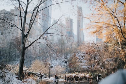 Villarroel se preguntó que tan lista estará para el invierno real en Nueva York