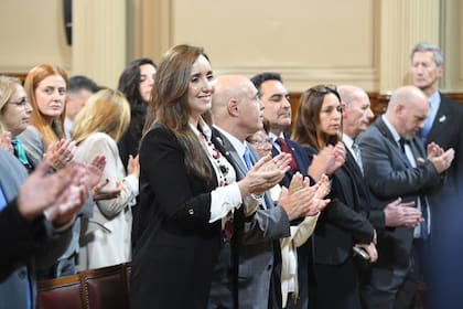 Villarruel, en el Senado
