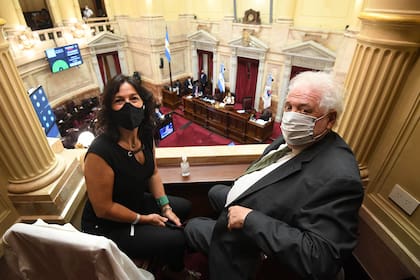 Vilma Ibarra y Ginés González García siguieron la votación