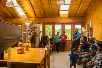 En el verano organizan visitas guiadas para conocer el proceso productivo del viñedo