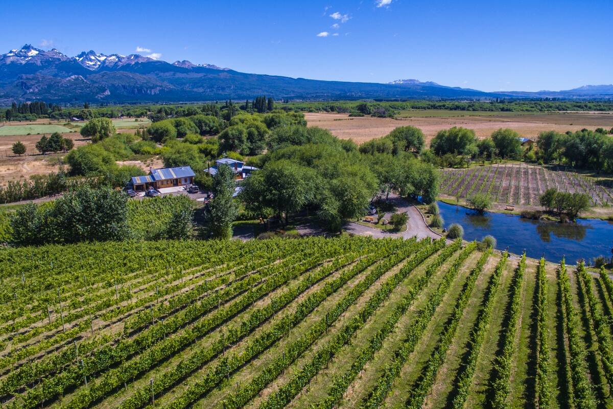 Viñas del Nant y Fall