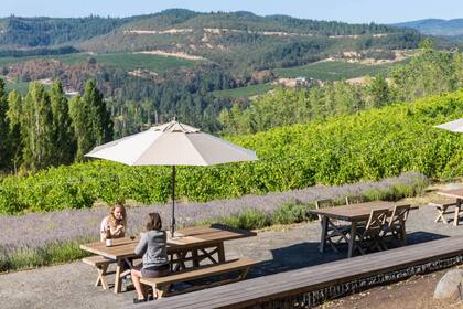 Viñedos, bodegas, sol y hermosos paisajes pueden encontrarse a ambos lados del río Coumbia, en los estados de Oregon (foto) y Washington