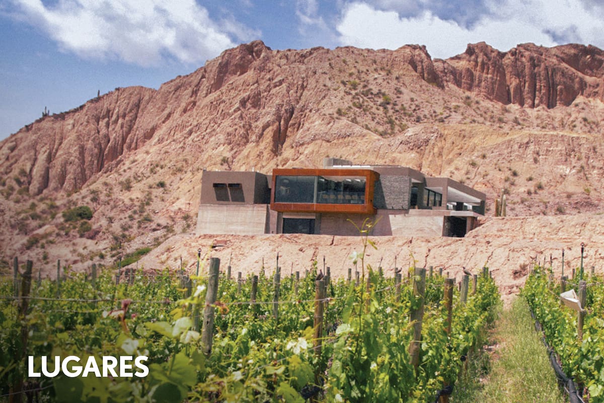 Viñedos de Yacoraite.