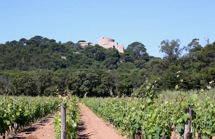 Viñedos de La Courtade, detrás Santa Ágata