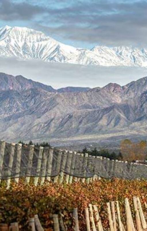 Viñedos en Las Compuertas, Mendoza