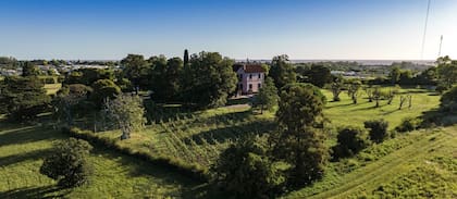 Viñedos y bodega de Comarca Las Liebres