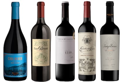 vinos malbec