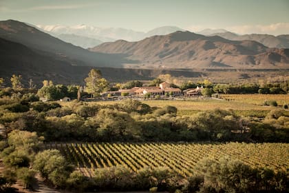 Vinos, montañas, arte y gastronomía, el combo irresistible que ofrece Colomé.