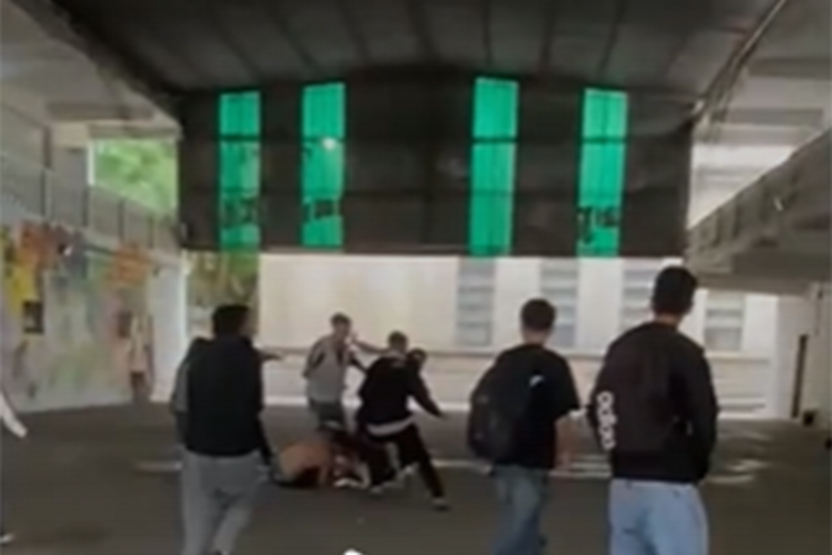 Violencia escolar en La Plata: una preceptora terminó lastimada al intentar frenar una pelea entre un exalumno y otro estudiante