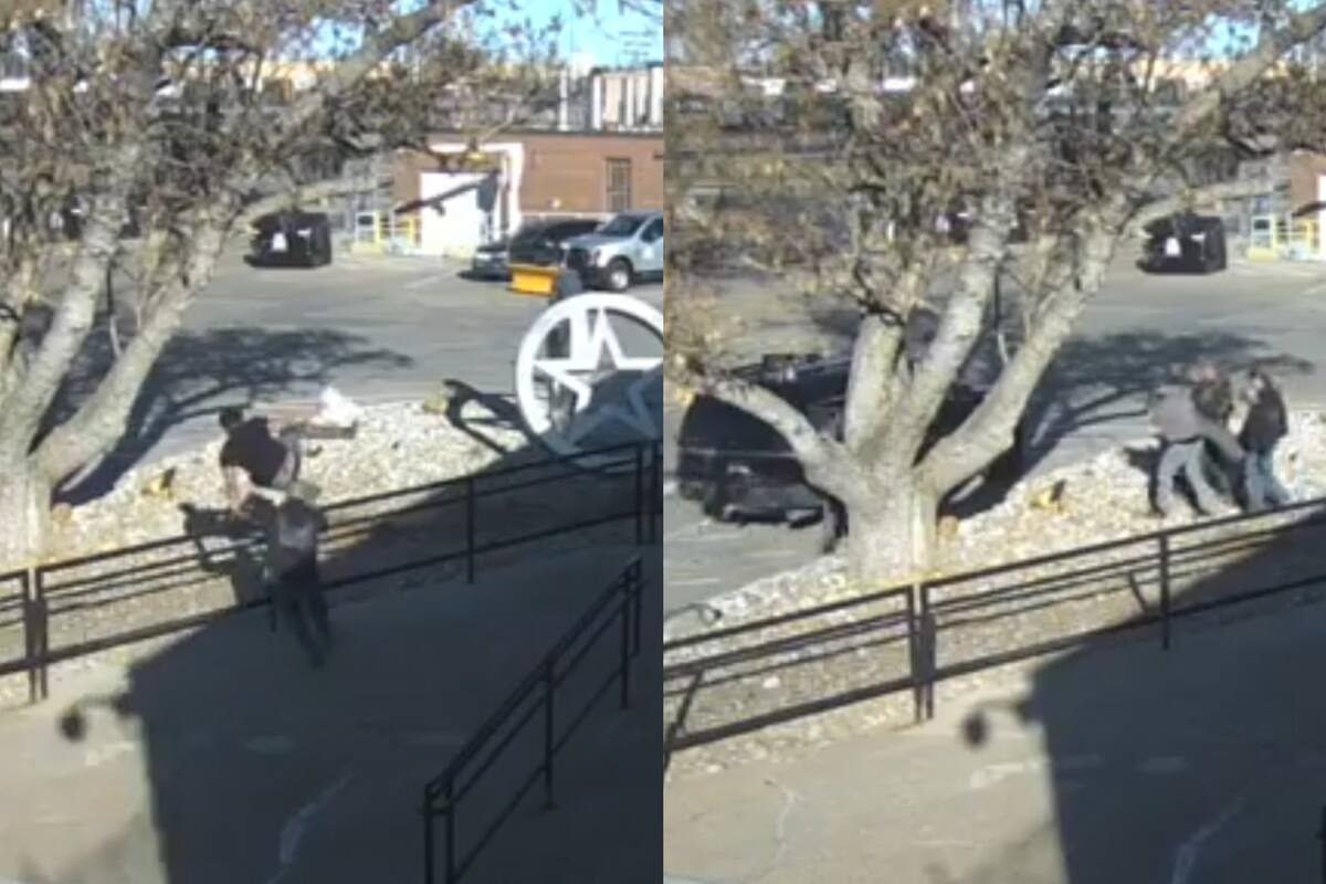 Violenta persecución del ICE a un presunto integrante del Tren de Aragua