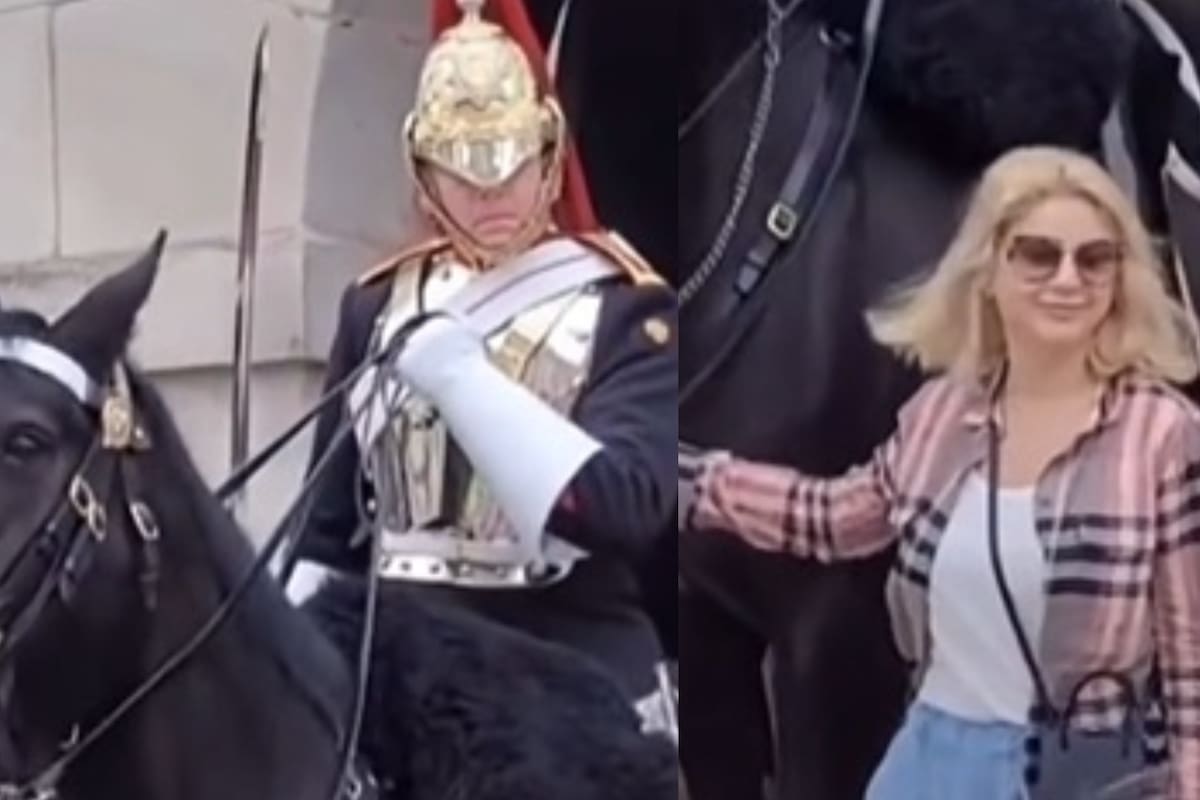 Viral: Se acercó a acariciar el caballo de la guardia real y la reacción del soldado la horrorizó. Foto/TikTok