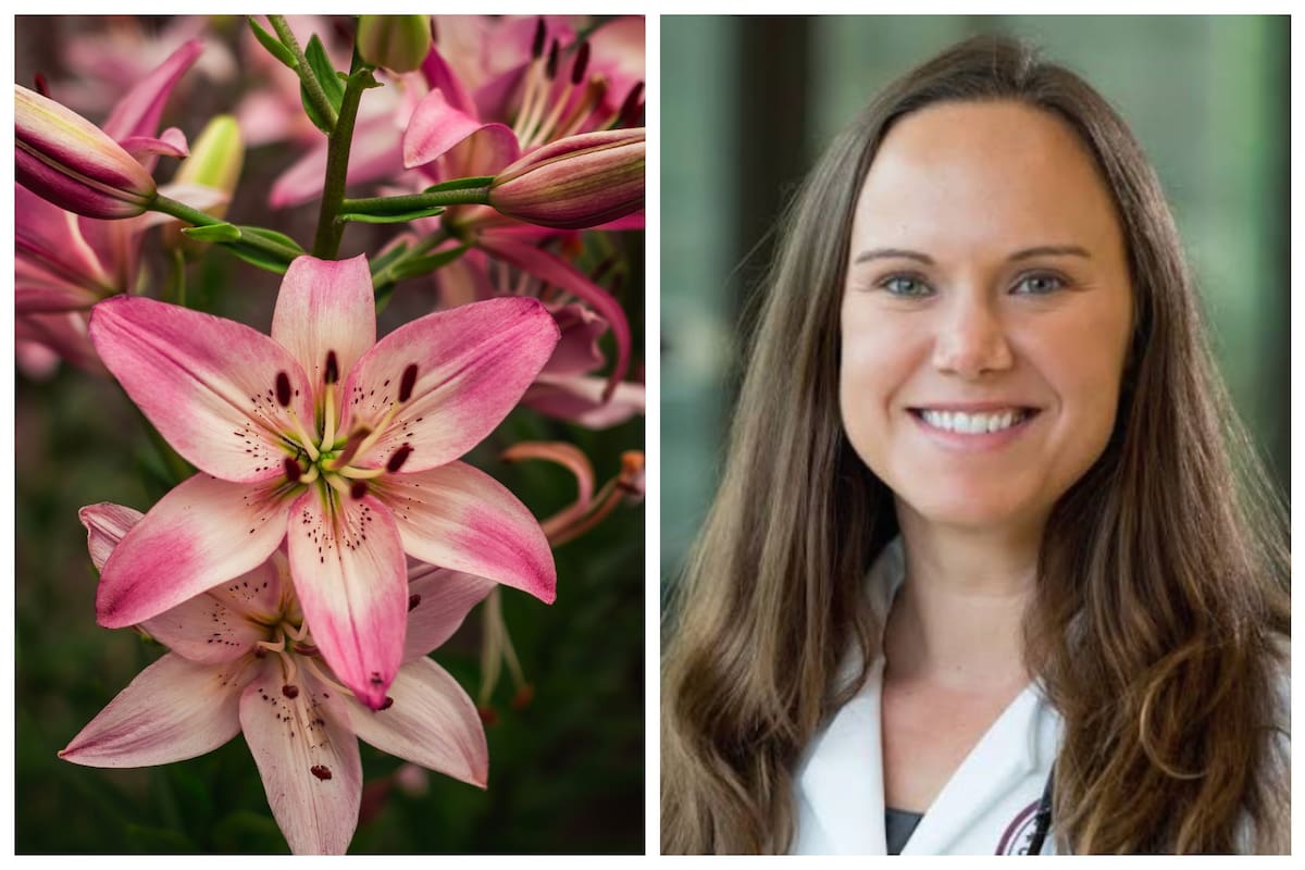 Virginia Edwards advirtió que estas plantas no deben permanecer en hogares con felinos