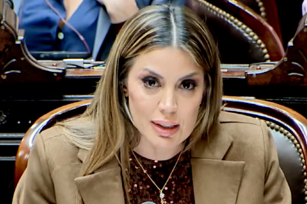 Virginia Gallardo se quebró al hablar sobre la muerte de Chiche Gelblung en plena sesión en Diputados