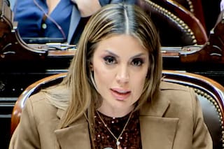 Virginia Gallardo se quebró al hablar sobre la muerte de Chiche Gelblung en plena sesión de Diputados