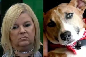 Virginia opinó sobre el futuro de Arturo en la competencia