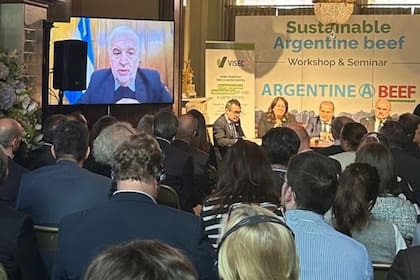 Virtual: el secretario de Bioeconomía, Fernando Vilella, diserta en el marco de la presentación del Ipcva