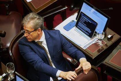 Vischi, en el Senado