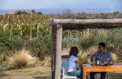 Visita a la Bodega Gimenez Riili en Mendoza.